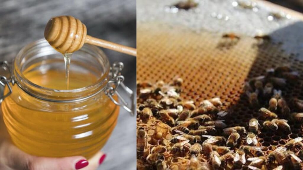 Benefits of honey and warm water