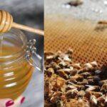 honey with warm water has several benefits