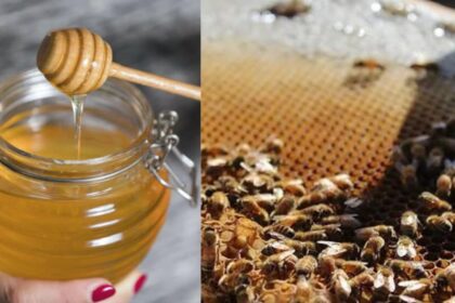 Benefits of honey and warm water