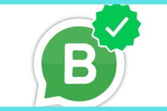 get a green tick on WhatsApp within 2 days