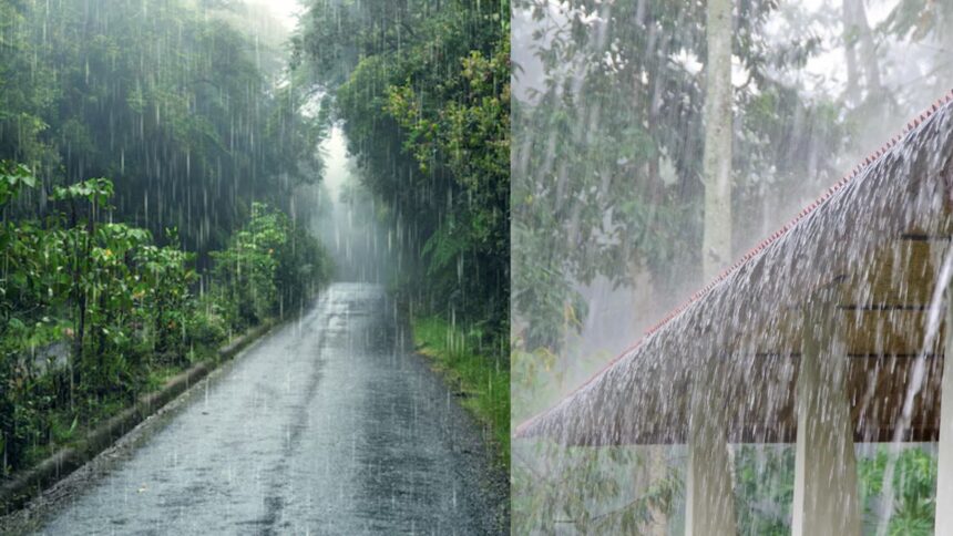 When will monsoon come in Bihar?