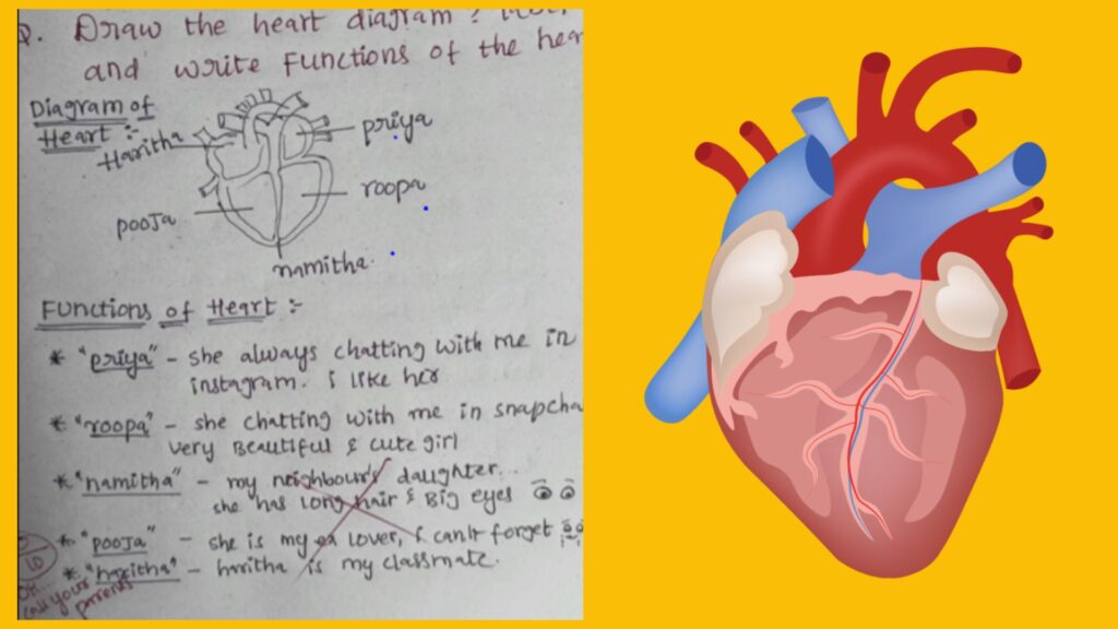 Heart diagram or love letter