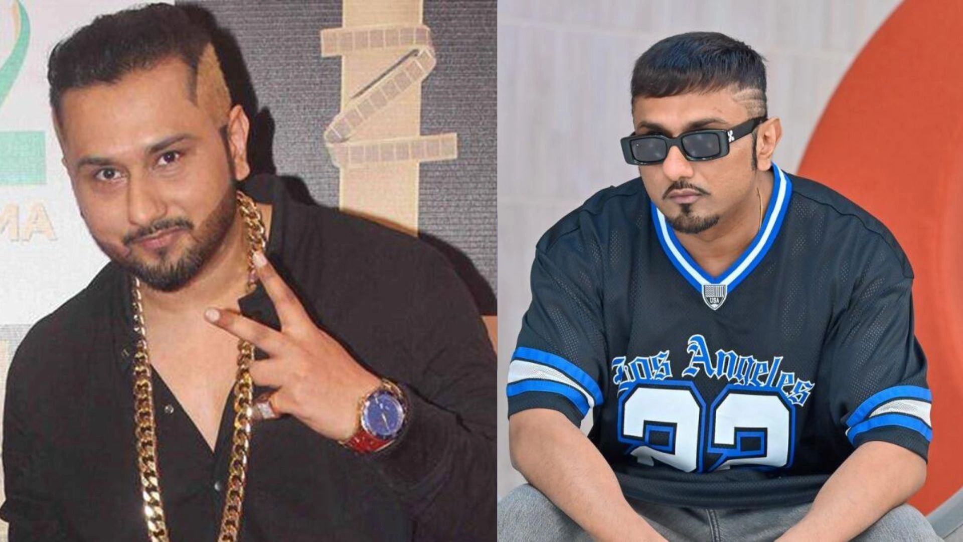 Honey Singh net worth