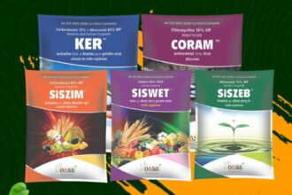 OASIS LIMITED